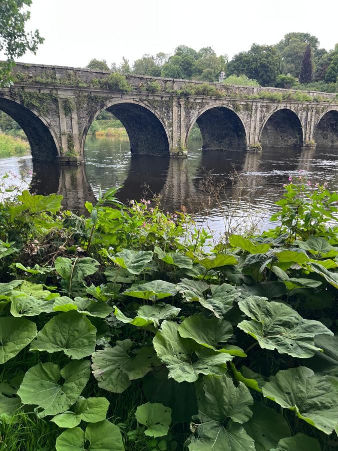 Bank House Apartment Inistioge Bagian luar foto
